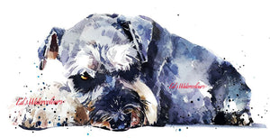 "Schnauzer: I Spy" - Watercolour Print