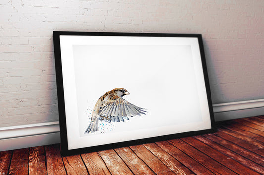 House Sparrow II Watercolour Art Print | Bird Lover Gift | Edswatercolours
