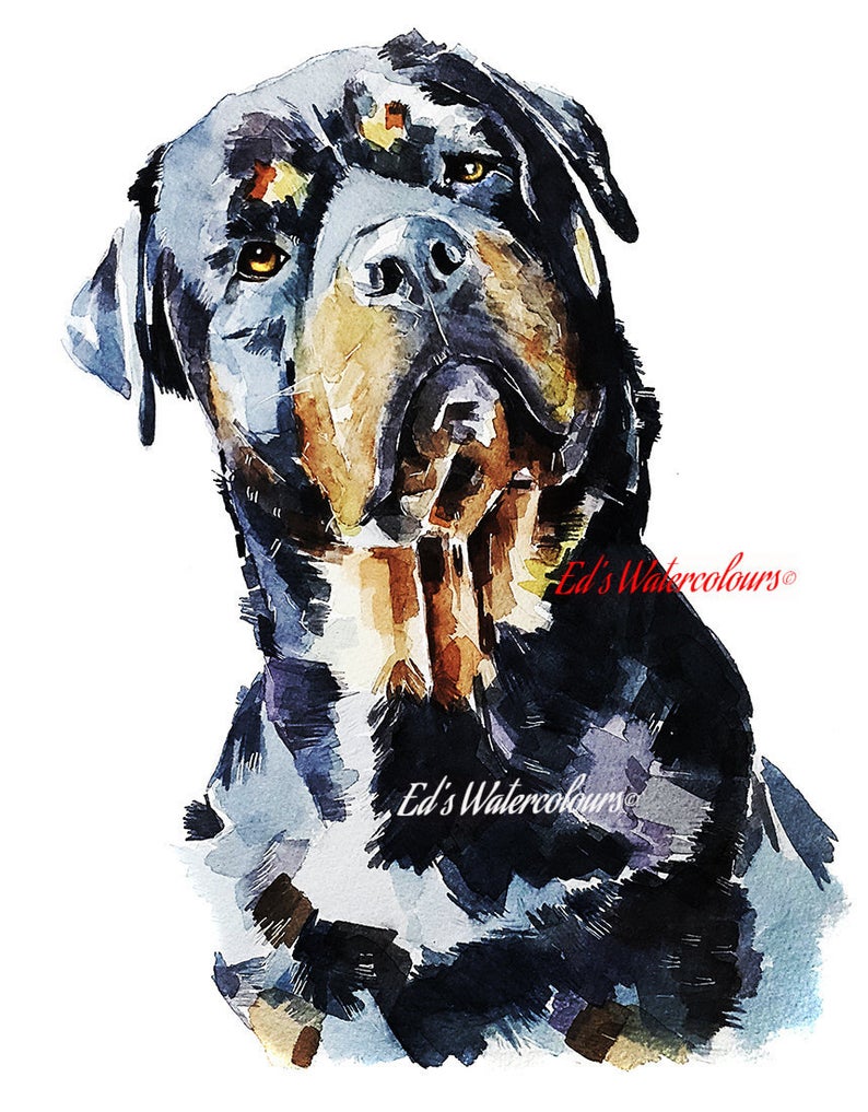 I see through you - Rottweiler " Print Watercolour,Rottweiler art,Rottweiler watercolor print,Rottweiler watercolor,Rottie wall art