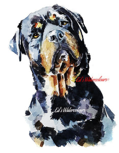 I see through you - Rottweiler " Print Watercolour,Rottweiler art,Rottweiler watercolor print,Rottweiler watercolor,Rottie wall art