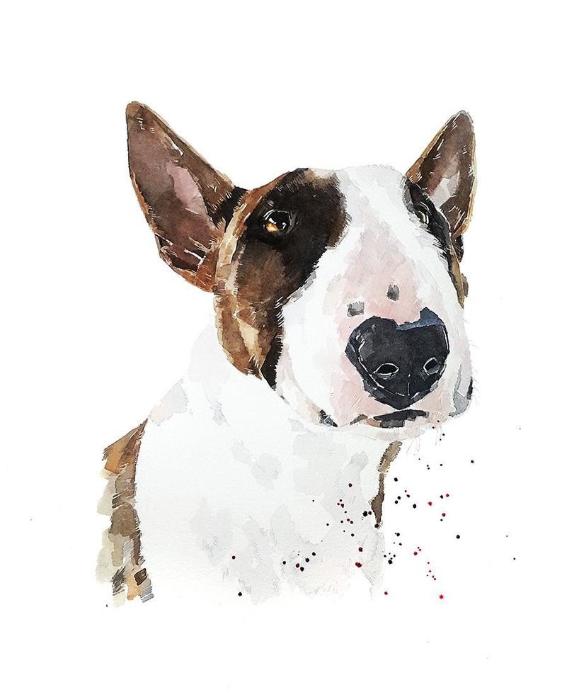 Brindle Bull Terrier Watercolour Print.Bull Terrier art,Bull Terrier print,Bull Terrier watercolour,Bull Terrier wall art