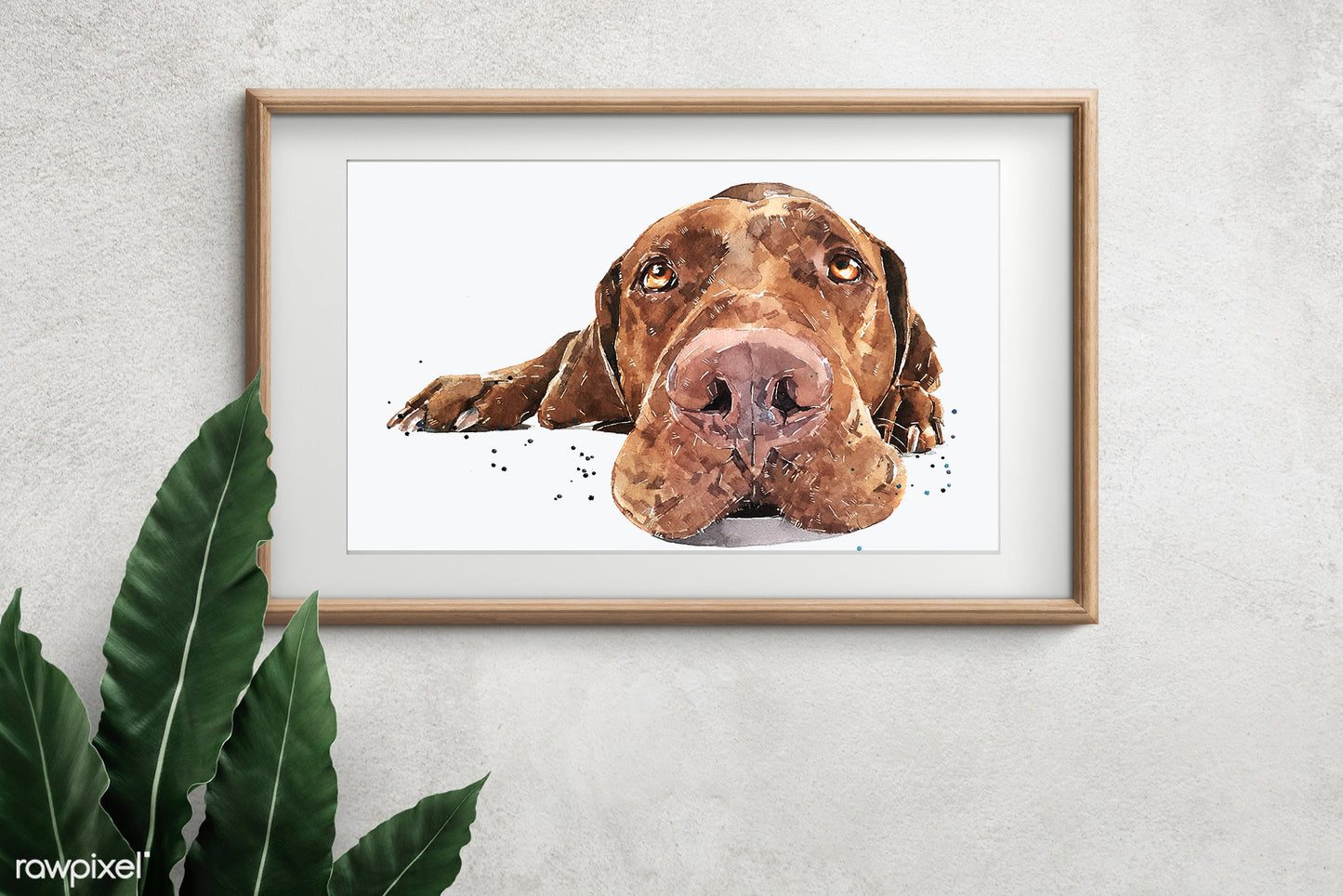 "Vizsla: Passed Out" - Watercolour Print