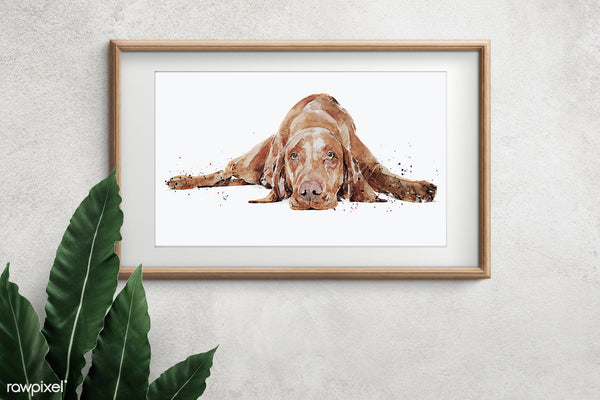 "Vizsla: Sound Awake" - Watercolour Print