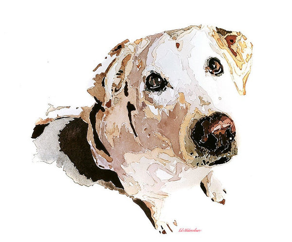 Labrador, What's cooking? " Print Watercolour