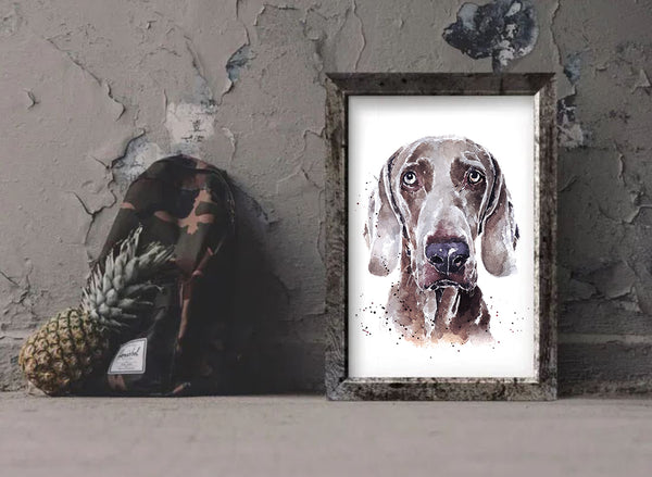 "Weimaraner: A Gentle Soul" - Watercolour Print