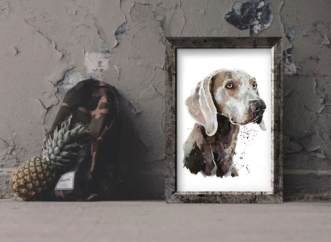 "Weimaraner (Version 1)" - Watercolour Print