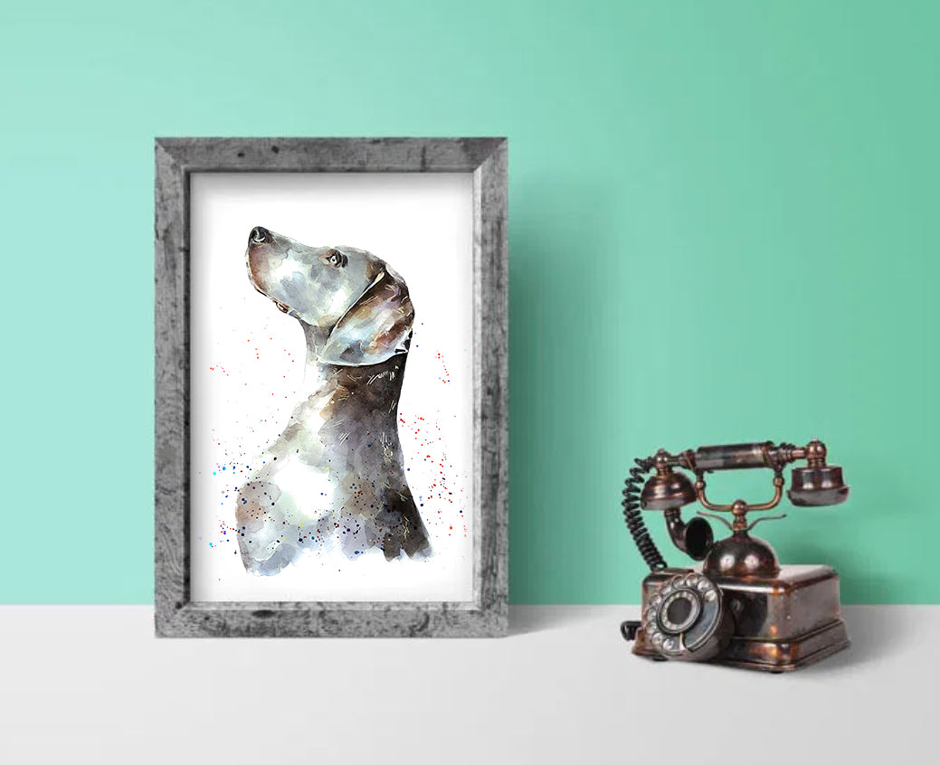 "Weimaraner: Regal" - Watercolour Print
