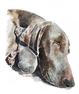 "Weimaraner: Love Eternal" - Watercolour Original